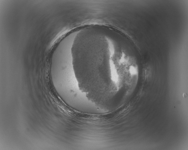 X0000076331359200610201654