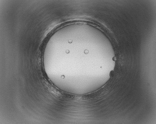 X0000076331360200610201654