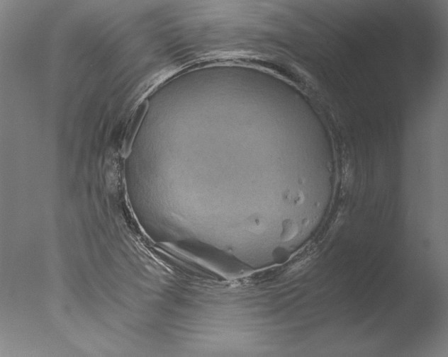 X0000076331361200610201654