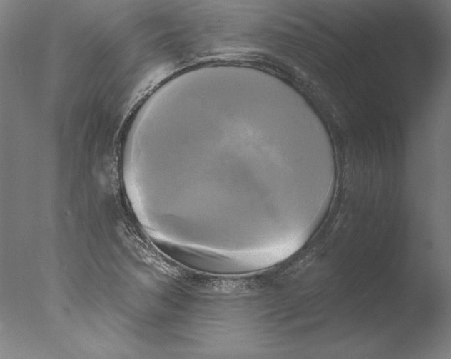 X0000076331362200610201654