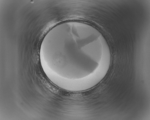 X0000076331363200610201654