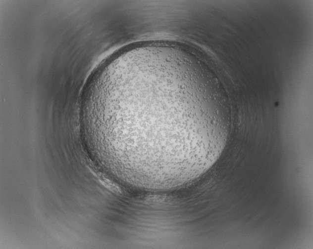 X0000076331364200610201654