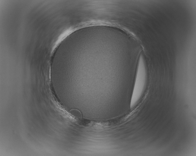 X0000076331365200610201654