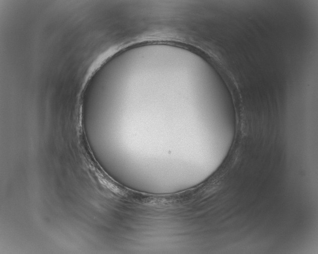 X0000076331366200610201654