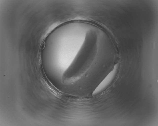 X0000076331367200610201654