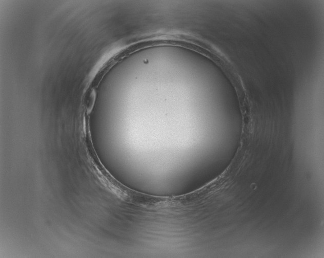 X0000076331368200610201654