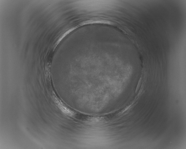 X0000076331369200610201654