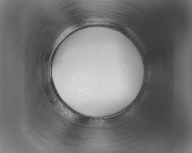 X0000076331370200610201654