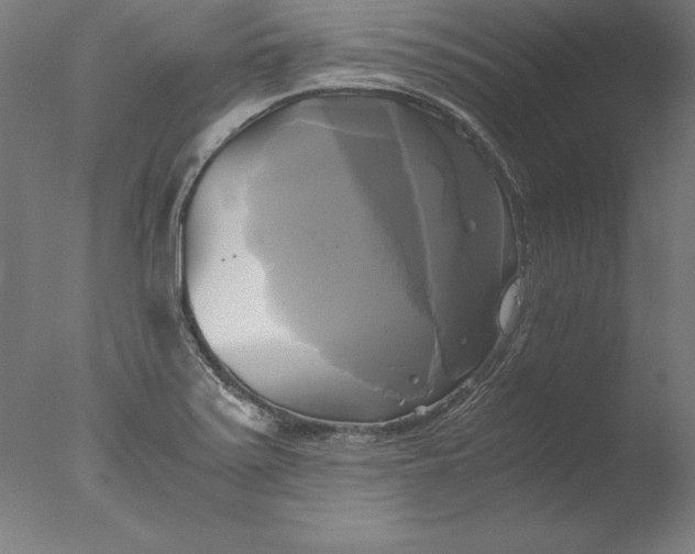 X0000076331371200610201653