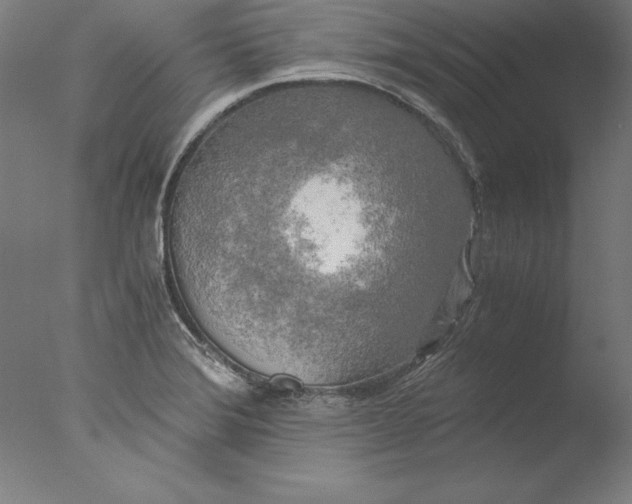 X0000076331372200610201653