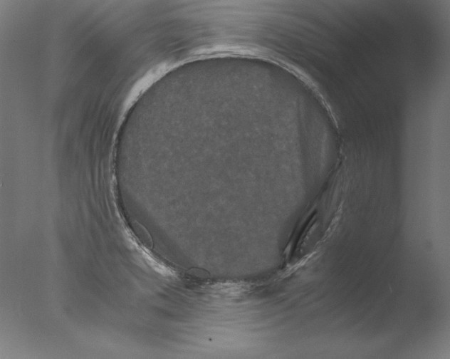 X0000076331373200610201653