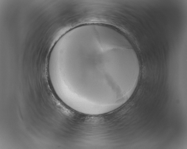 X0000076331374200610201653