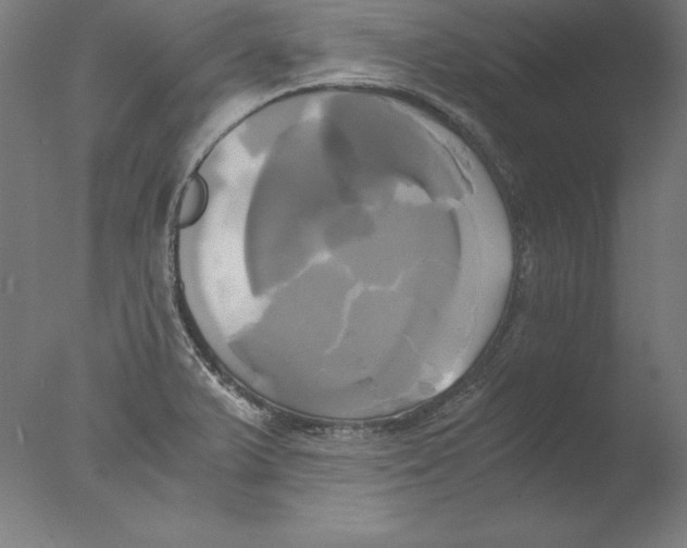 X0000076331375200610201653