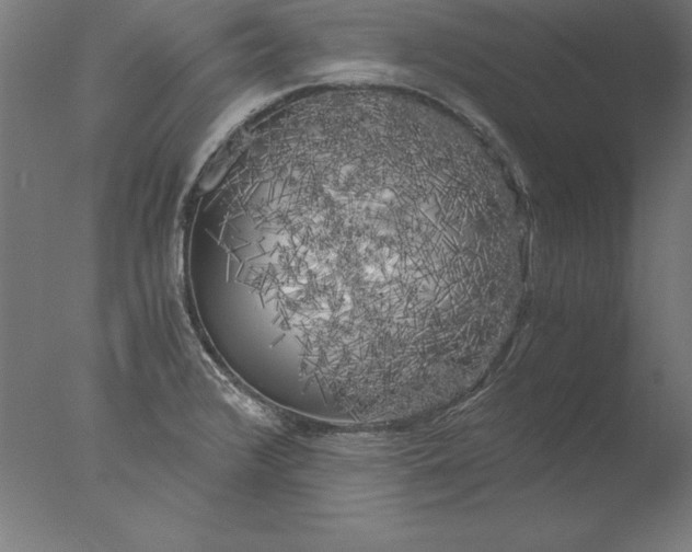 X0000076331376200610201653