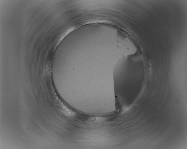 X0000076331377200610201653