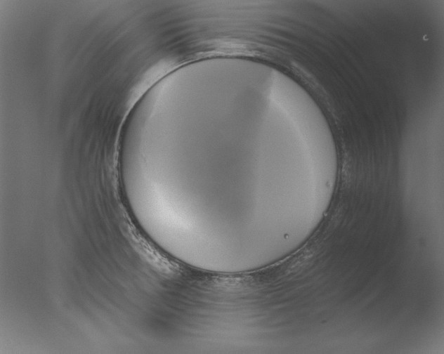 X0000076331378200610201653