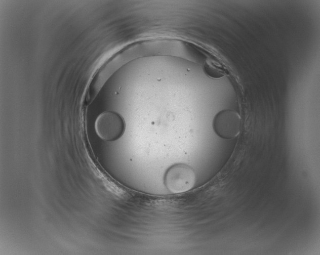 X0000076331380200610201653