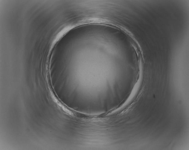 X0000076331381200610201653