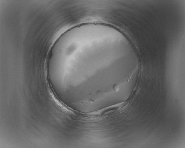 X0000076331382200610201653