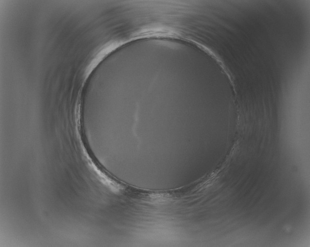 X0000076331383200610201653