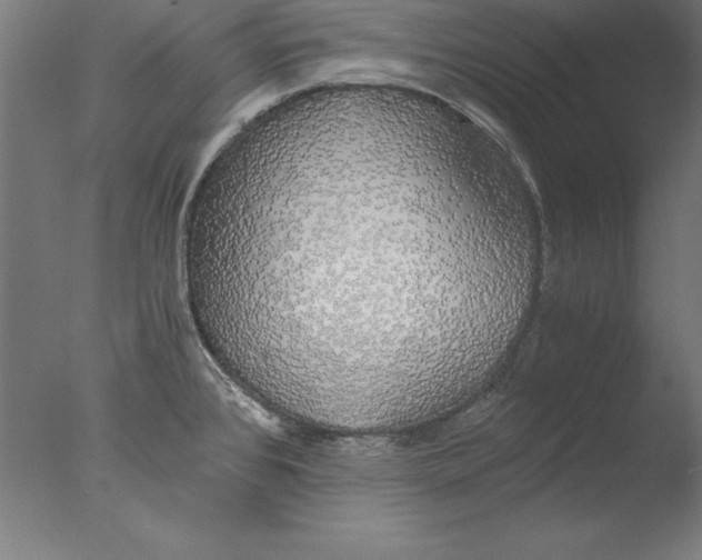 X0000076331384200610201653