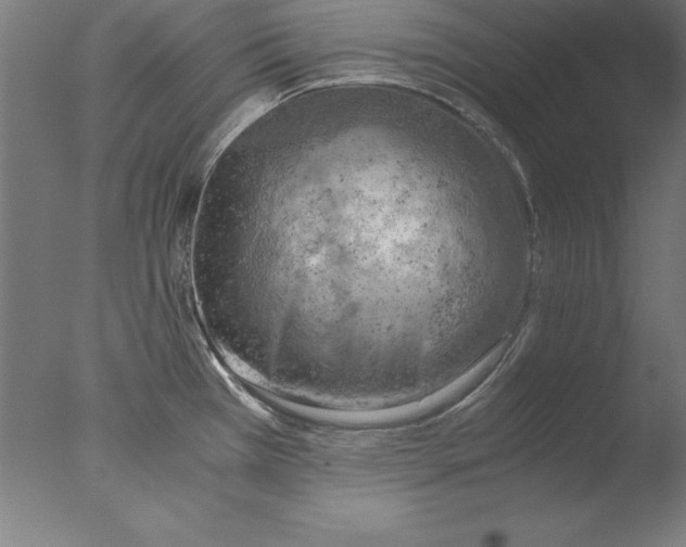 X0000076331385200610201653