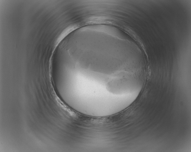 X0000076331386200610201653