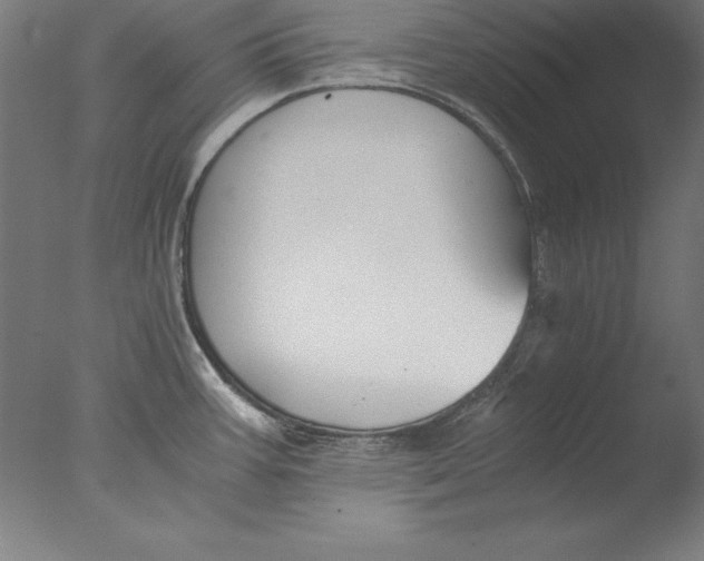 X0000076331387200610201653