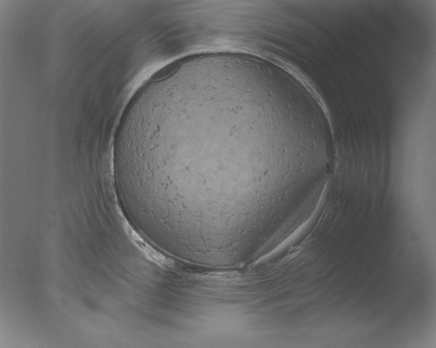 X0000076331388200610201653