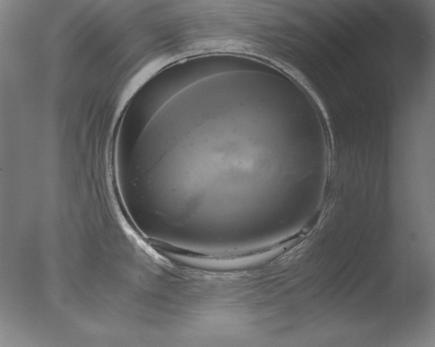 X0000076331389200610201653