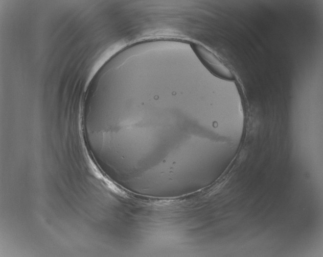 X0000076331390200610201653