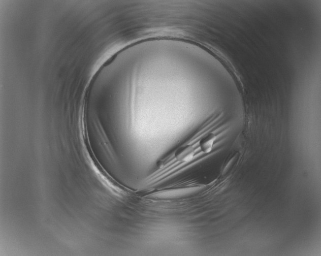 X0000076331391200610201653