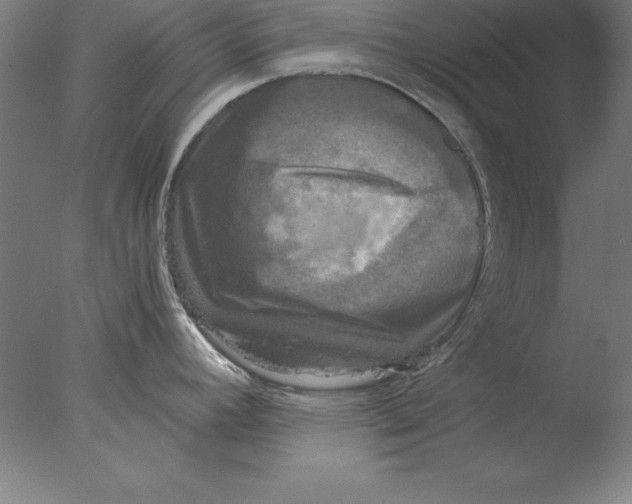 X0000076331392200610201653