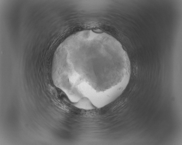 X0000076331393200610201652