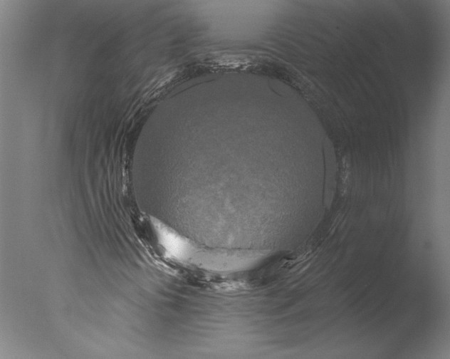 X0000076331394200610201652