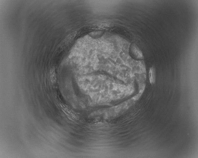 X0000076331395200610201652