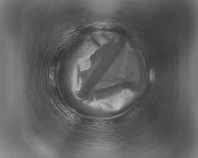 X0000076331396200610201652