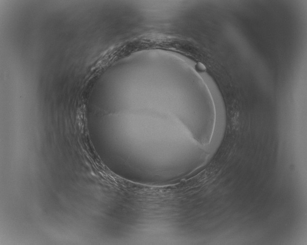 X0000076331397200610201652