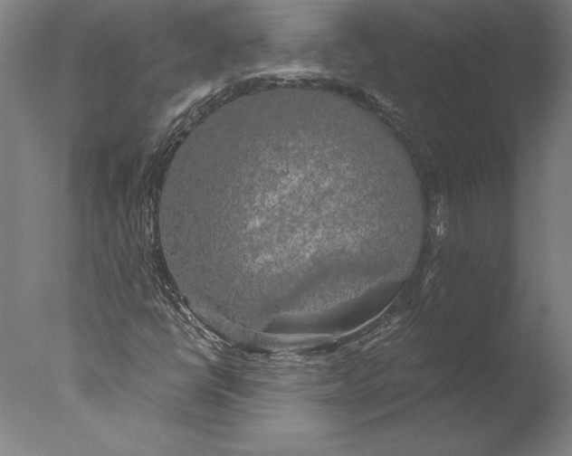 X0000076331398200610201652