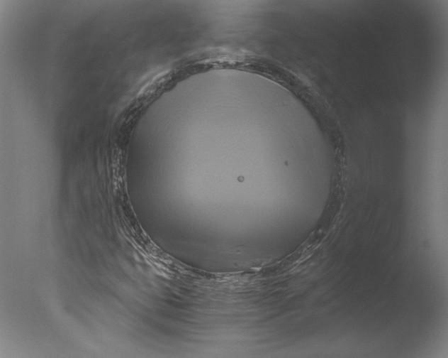 X0000076331399200610201652