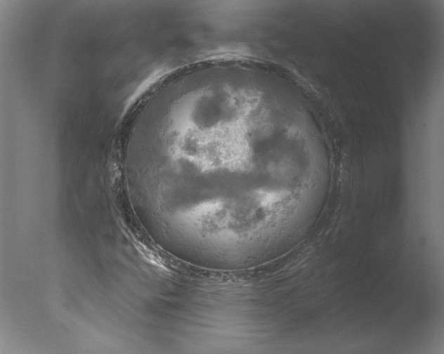 X0000076331400200610201652