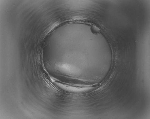 X0000076331401200610201652