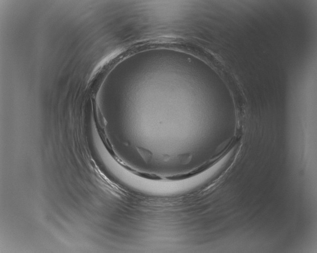 X0000076331402200610201652