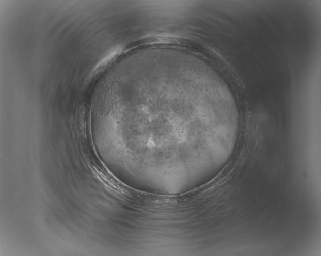 X0000076331403200610201652