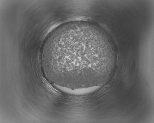 X0000076331404200610201653