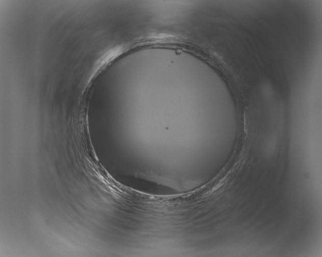 X0000076331405200610201653