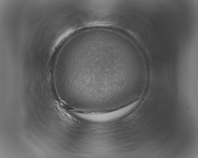 X0000076331406200610201653