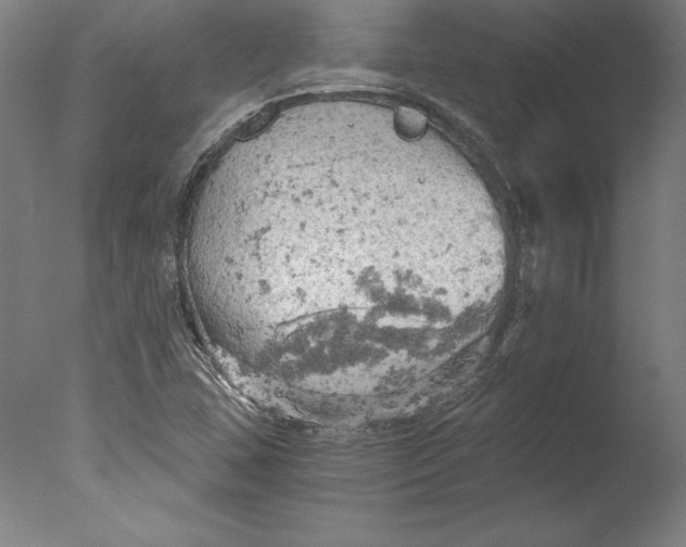 X0000076331407200610201653