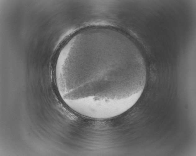 X0000076331408200610201653