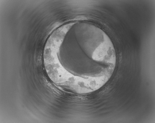 X0000076331409200610201653